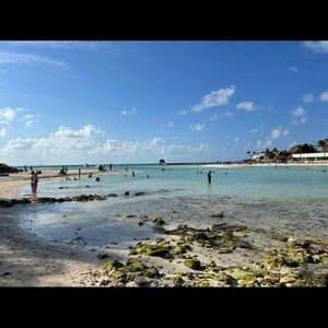 Meet your Posher, Elizabeth m.